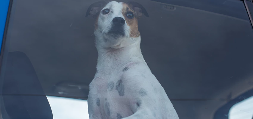 Car Lockout Solutions in Sun Village, California