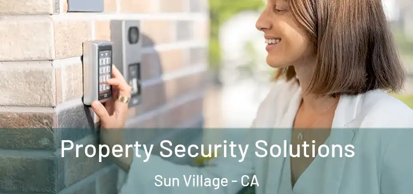  Property Security Solutions Sun Village - CA